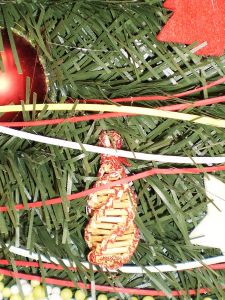 v�no�n� stromek, v�noce